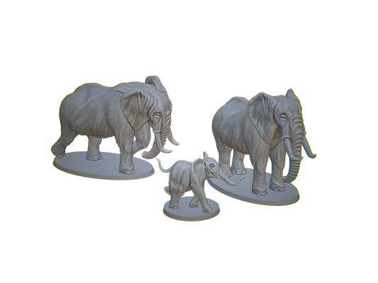 Elephant Family Group 1