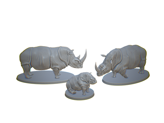 Rhinoceros Family Group 1