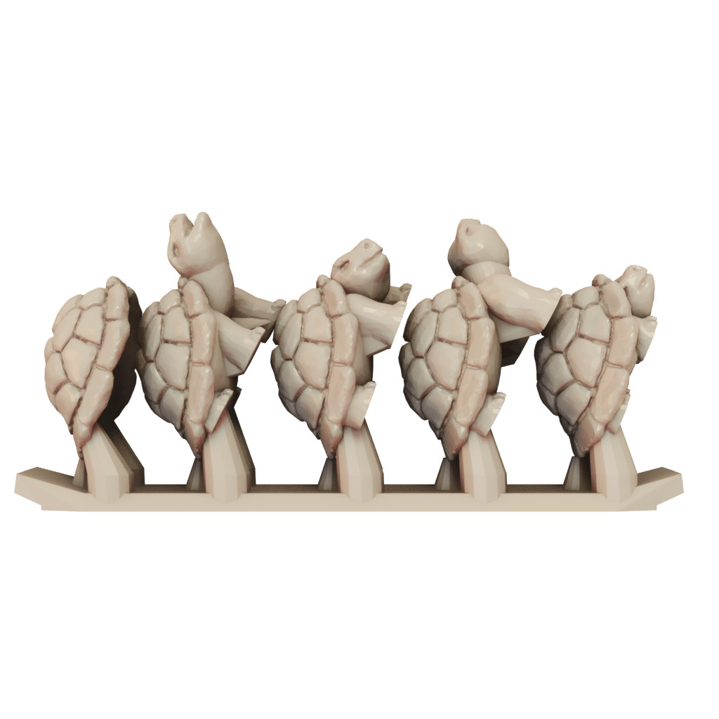 Tortoise 1